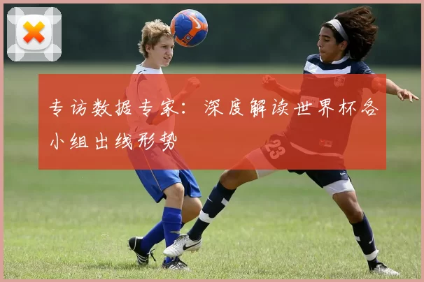 专访数据专家:深度解读世界杯各小组出线形势