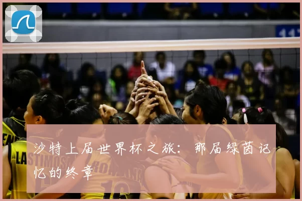 沙特上届世界杯之旅：那届绿茵记忆的终章
