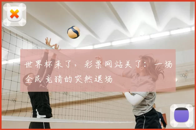 世界杯来了，彩票网站关了：一场全民竞猜的突然退场