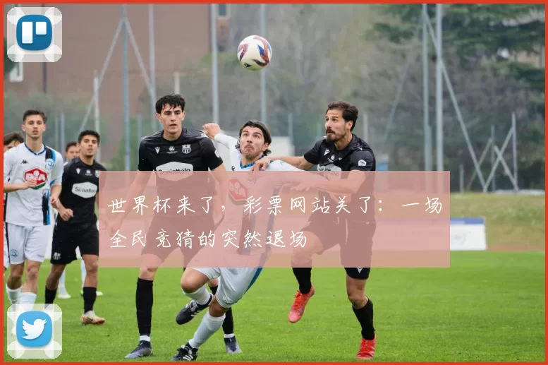 世界杯来了,彩票网站关了:一场全民竞猜的突然退场