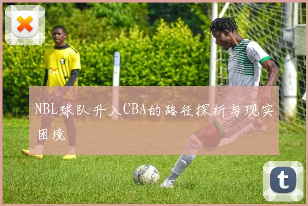 NBL球队升入CBA的路径探析与现实困境