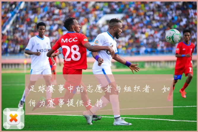 足球赛事中的志愿者与组织者,如何为赛事提供支持