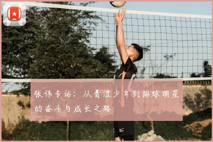 张伟专访:从青涩少年到排球明星的奋斗与成长之路