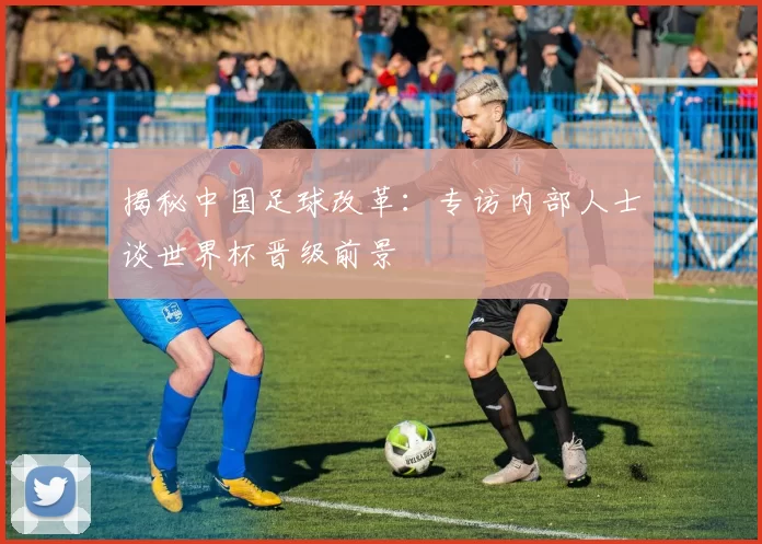 揭秘中国足球改革：专访内部人士谈世界杯晋级前景