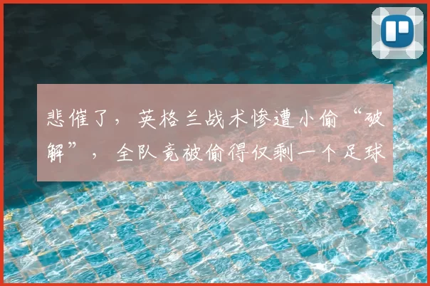 悲催了,英格兰战术惨遭小偷“破解”,全队竟被偷得仅剩一个足球