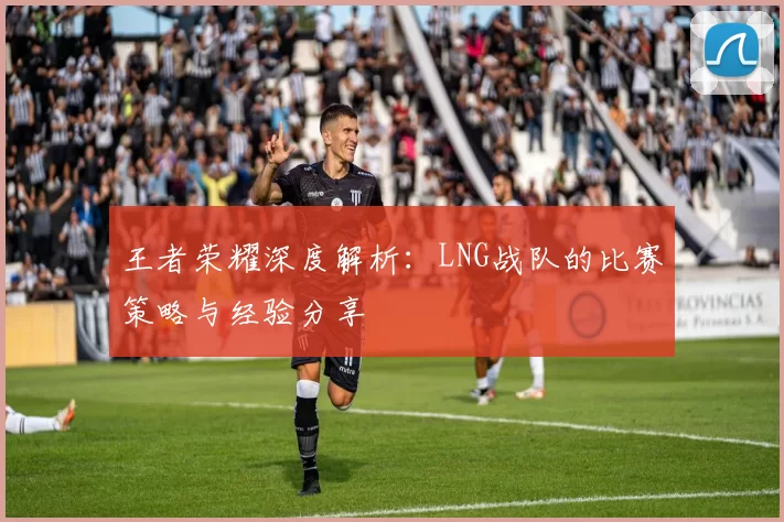 王者荣耀深度解析:LNG战队的比赛策略与经验分享