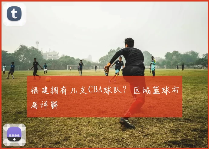 福建拥有几支CBA球队?区域篮球布局详解