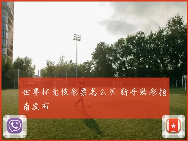 世界杯竞技彩票怎么买 新手购彩指南发布