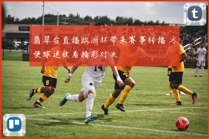 翡翠台直播欧洲杯带来赛事转播 方便球迷收看精彩对决